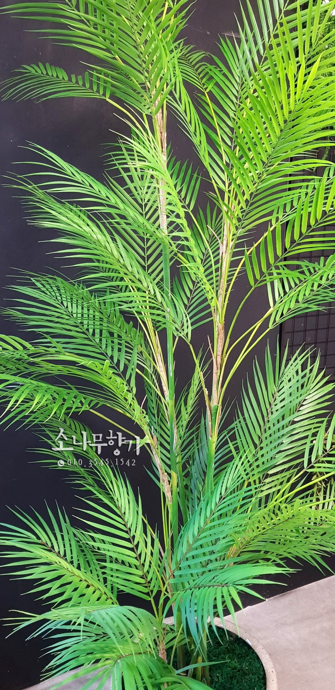 2fce7c0fd3f172009ef4398aaf448315_1565753584_7933.jpg
